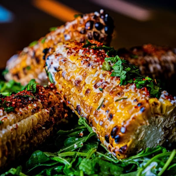 Grilled corn on the cob, topped with white sauce, red spices, and green herbs, on a bed of greens.