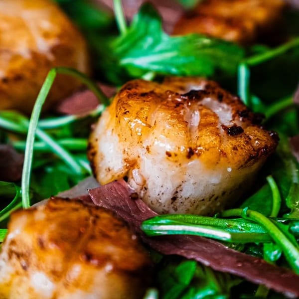 Close-up of seared scallops and prosciutto on a bed of fresh green arugula.